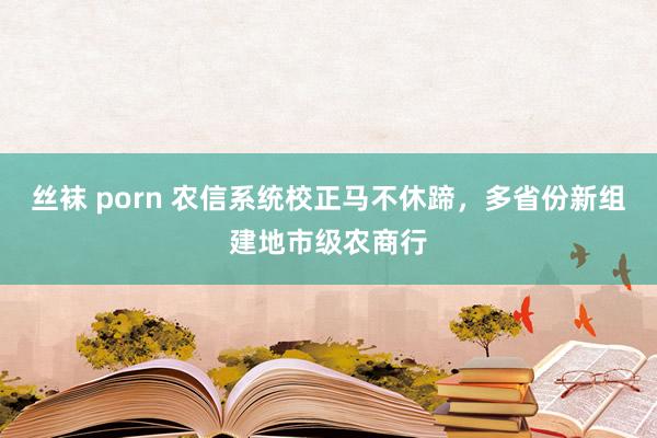 丝袜 porn 农信系统校正马不休蹄，多省份新组建地市级农商行