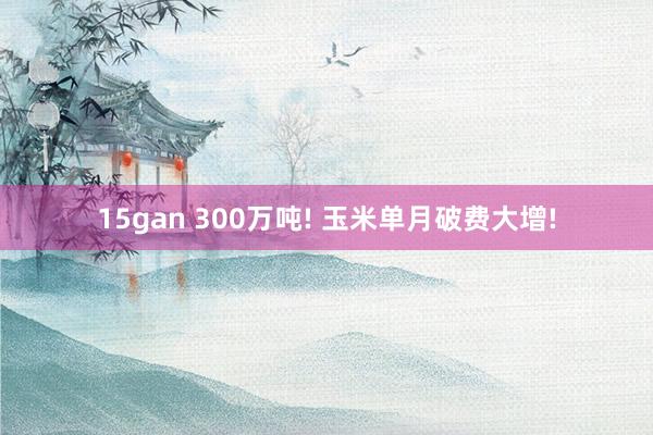 15gan 300万吨! 玉米单月破费大增!