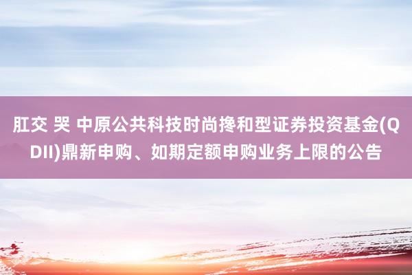 肛交 哭 中原公共科技时尚搀和型证券投资基金(QDII)鼎新申购、如期定额申购业务上限的公告