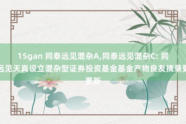 15gan 同泰远见混杂A，同泰远见混杂C: 同泰远见天真设立混杂型证券投资基金基金产物良友摘录更新