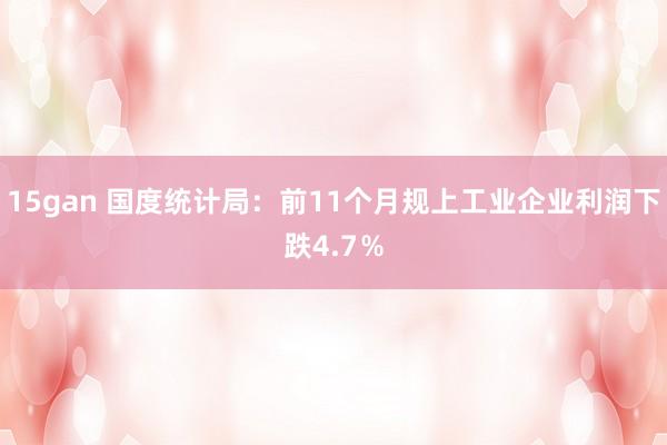 15gan 国度统计局：前11个月规上工业企业利润下跌4.7％