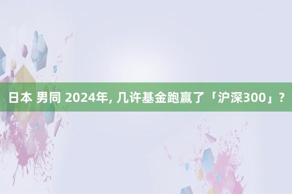 日本 男同 2024年， 几许基金跑赢了「沪深300」?