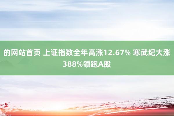 的网站首页 上证指数全年高涨12.67% 寒武纪大涨388%领跑A股