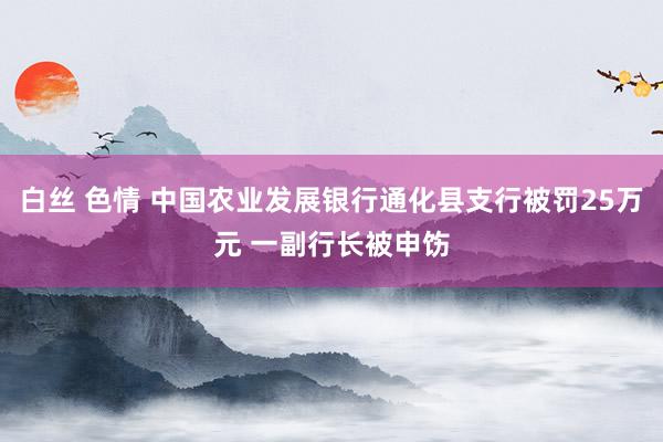 白丝 色情 中国农业发展银行通化县支行被罚25万元 一副行长被申饬