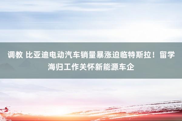 调教 比亚迪电动汽车销量暴涨迫临特斯拉！留学海归工作关怀新能源车企