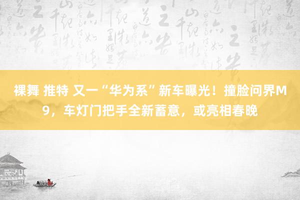 裸舞 推特 又一“华为系”新车曝光！撞脸问界M9，车灯门把手全新蓄意，或亮相春晚