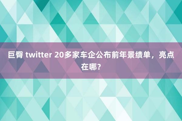 巨臀 twitter 20多家车企公布前年景绩单，亮点在哪？