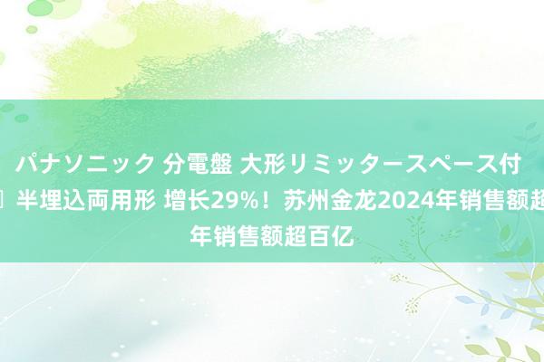 パナソニック 分電盤 大形リミッタースペース付 露出・半埋込両用形 增长29%！苏州金龙2024年销售额超百亿