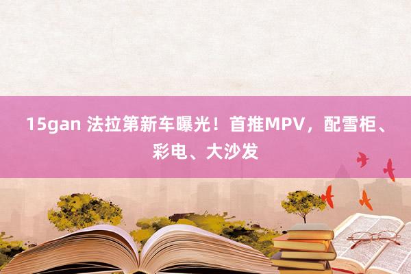 15gan 法拉第新车曝光！首推MPV，配雪柜、彩电、大沙发