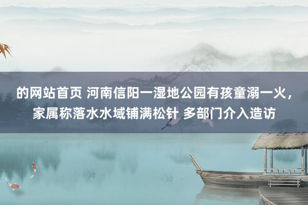 的网站首页 河南信阳一湿地公园有孩童溺一火，家属称落水水域铺满松针 多部门介入造访