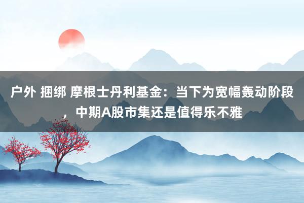 户外 捆绑 摩根士丹利基金：当下为宽幅轰动阶段，中期A股市集还是值得乐不雅